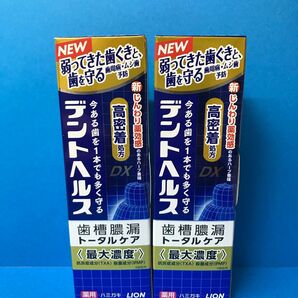 ライオン デントヘルス 薬用ハミガキ DX 85g 2個