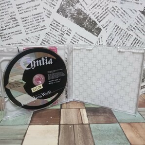 邦楽CD Cyntia / Endless World[DVD付初回限定盤]の画像4
