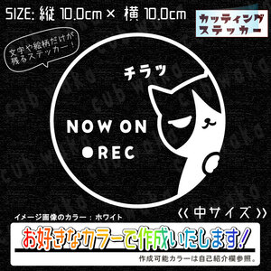 ドラレコ録画中②猫2ハチワレステッカー　文字絵柄だけ残るカッティングステッカー・カブ・車・バイク・二輪・トラック・リアガラス・ねこ