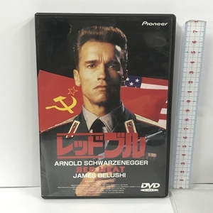 レッドブル パイオニアLDC アーノルド・シュワルツェネッガー [DVD]