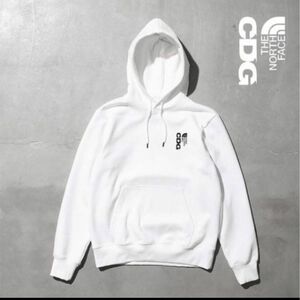 CDG × THE NORTH FACE ICON HOODIE