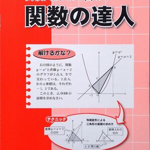 ※「関数の達人」高校入試対策向け