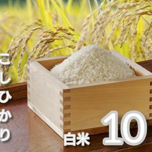 【白米】令和5年長野県産コシヒカリ10キロ 精米したてをお届け!!