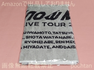 #Snow Man LIVE TOUR 2022 Labo. タオル 未開封