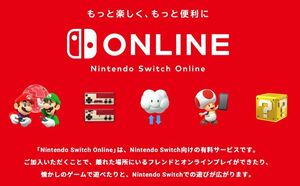 任天堂 Nintendo Switch Online 2025年01月19日までの加入権利 匿名 送料無料⑦