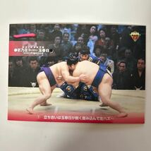 1999BBM PT-1 若乃花vs玉春日　9面パズルカード 大相撲カード　インサートカード_画像1