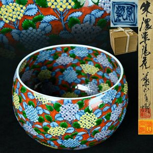 【昊】葉山有樹 朱濃紫陽花 抹茶碗 茶碗 茶道具 共箱 共布[UA30Ai]