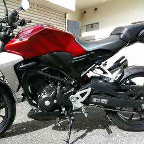 税込ピカピカで良好なバイク低走行 12716km CB250R ABSタイプ 動画 書類有ります検 CBR250RR MC51 ZXー25R ニンジャ EX250L YZF-R25の画像6