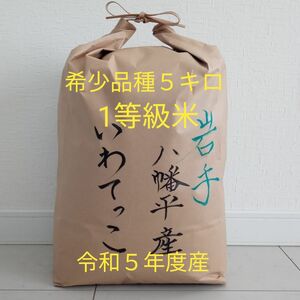 お米　５キロ　白米　いわてっこ