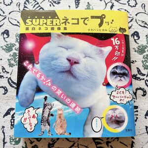 SUPER кошка .p! поверхность белый кошка изображение сборник 