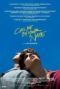 君の名前で僕を呼んで　Call Me By Your Name、直輸入、小ポスター、米国版　6103、洋画.