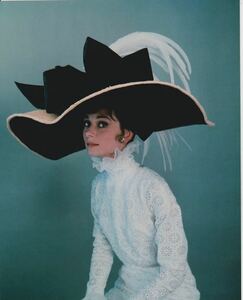 マイフェアレディ オードリーヘップバーン Audrey Hepburn　輸入　写真　40385.