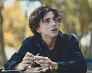 レディバード　ティモシーシャラメ　Timothee Chalmet　輸入　写真　10119