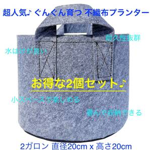 [送料無料&新品未使用] 不織布プランター 2ガロン 植木鉢 7号 不織布ポット 栽培袋 プランター フェルト グレー 2個セットの画像1