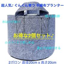 [送料無料&新品未使用] 不織布プランター 2ガロン 植木鉢 7号 不織布ポット 栽培袋 プランター フェルト グレー 2個セット_画像1