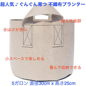 [ free shipping & new goods unused ] non-woven planter 5 gallon plant pot 10 number non-woven pot cultivation sack planter felt beige 