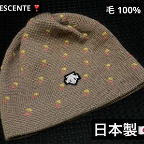 1点限り 最終値下げ 希少品 高級 ブランド DESCENTE デサント ニット キャップ 日本製