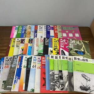 月刊むし 1973年-1980年 昆虫と自然 採集と飼育 まとめ売り約47冊大量セット/甲虫/昆虫/雑誌/バックナンバー/増刊号/オオクワガタ/