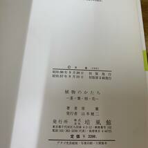 植物のかたち・茎・葉・根・花/原襄/手軽に観察のできる植物を例にとり外部形態を肉眼やルーペで観察し植物学の基礎知識を学べるようにした_画像6