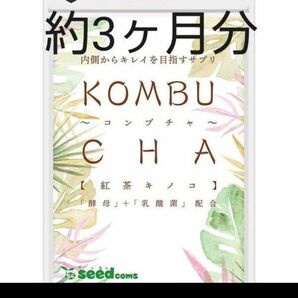 コンブチャ約3ヶ月分　KOMBUCHA　菌活　腸活　麹　ダイエット