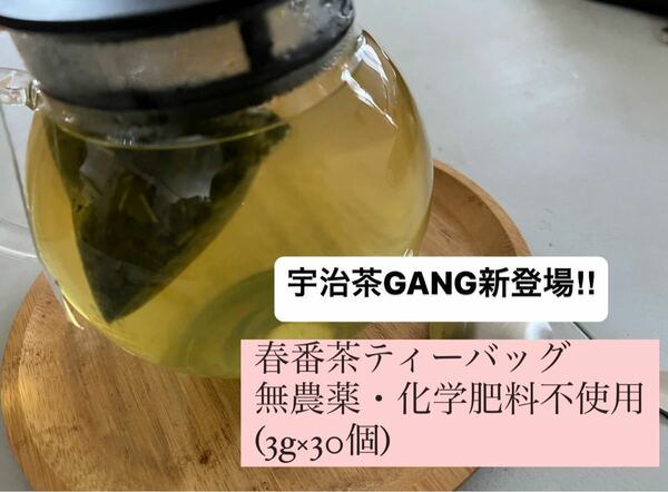 【無農薬】春番茶ティーバッグ(3g×30個)　化学肥料・除草剤・畜産堆肥不使用　2023年産