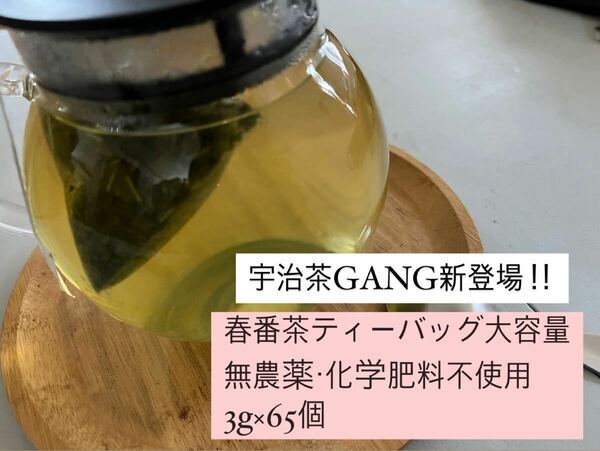 【無農薬】春番茶ティーバッグ大容量(3g×65個)化学肥料・除草剤・畜産堆肥不使用　2023年産