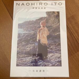 伊藤尚尋　個展　冊子　生命讃歌　日動画廊