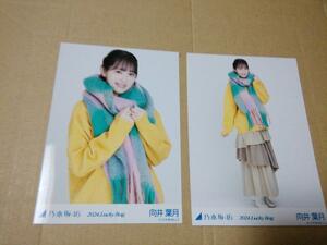 向井葉月 セミコンプ 冬コーデ チュウ ヒキ out side japan 乃木坂46 生写真 Lucky bag 2024 福袋グッズ