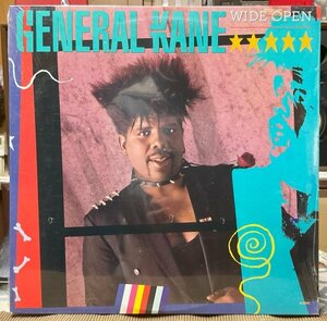 GENERAL KANE/WILD OPEN/未開封/P-FUNK/