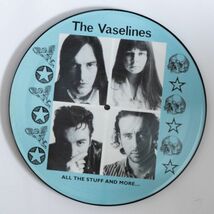 【LP/ピクチャー・レコード】The Vaselines / All The Stuff And More_画像1