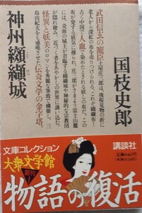 (株)講談社　大衆文学館「神州纐纈城」国枝　史郎著　初版、帯付き　1995年3月17日発行