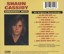 輸 Shaun Cassidy Greatest Hits ショーン・キャシディ◆規格番号■D2-77551◆送料無料■即決●交渉有_画像2