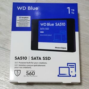 WDS100T3B0A Western Digital