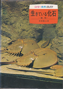 0507【送料込み】保育社刊 カラー自然ガイド(24)「生きている化石 ～動物～」浜田隆士 著　重版　ビニールカバー付き