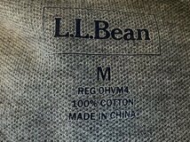 ★【希少 国内正規品 90～00年代】LLBEAN LLビーン(L.L.) コットン100％ ハーフジップ 袖衿 ライン プルオーバー ロンTシャツ M/R グレー系_画像6