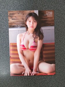 ランダムブロマイド　菊地姫奈　週刊少年チャンピオン　　2023年29号　　　ポストカード