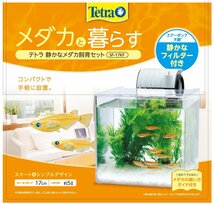  テトラ (Tetra) テトラ 静かなメダカ飼育セット SF-17KF _画像5