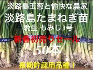 ［新春初売］淡路島産 玉ねぎ苗 50本 たまねぎ苗 玉葱苗 タマネギ苗 淡路島 農家直送 家庭菜園