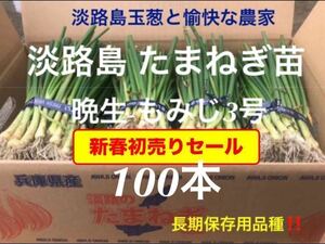 ［新春初売］淡路島産 玉ねぎ苗 100本 たまねぎ苗 玉葱苗 タマネギ苗 淡路島 農家直送 家庭菜園