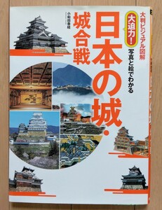 大迫力　日本の城・城合戦　写真と絵でわかる　大判ビジュアル図解　大阪城　江戸城