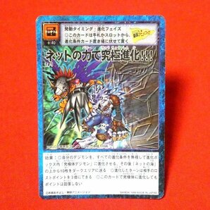デジタルモンスター デジモンdigimon digital monster TradingCard カードトレカ ネットの力で究極進化 Ta-1の画像1