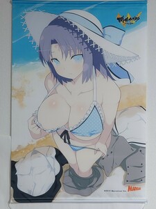 【非売品】タペストリー 雪泉 描き下ろしB2タペストリー PS4/PS Vitaソフト 閃乱カグラ ESTIVAL VERSUS-少女達の選択- トレーダー 購入特典