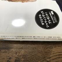 K-661■週刊プレイボーイ 2014年3月24日■ポスター未開封■指原莉乃 安斎らら 田島芽瑠 大野いと 虎南有香■集英社■芸能誌_画像7