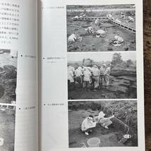 K-700■図録 南田遺跡 1988■写真資料 解説■新潟県中頸城郡中郷村教育委員会■1989年3月1日発行_画像5