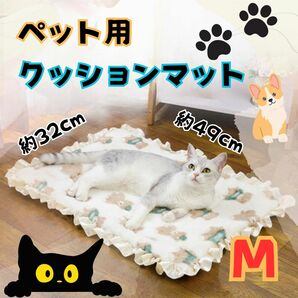 マット ベット クッション 洗える くま柄 M 犬猫用 防寒 ペット 洗える