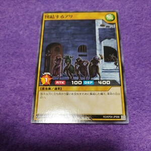 遊戯王 ラッシュデュエル 団結するアリ ノーマル RD/KP04-JP008