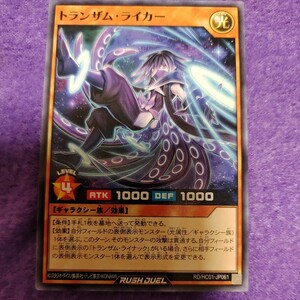 遊戯王 ラッシュデュエル トランザム・ライカー ノーマル RD/HC01-JP061