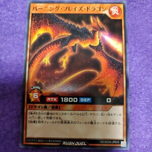 遊戯王 ラッシュデュエル バーニング・ブレイズ・ドラゴン ノーマル RD/SD0A-JP013