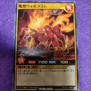 遊戯王 ラッシュデュエル 魔獣ウォルフラム ノーマル RD/ST01-JP007