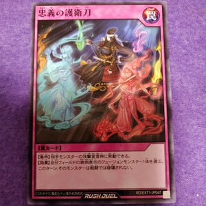 遊戯王 ラッシュデュエル 忠義の護衛刀 ノーマル RD/EXT1-JP047